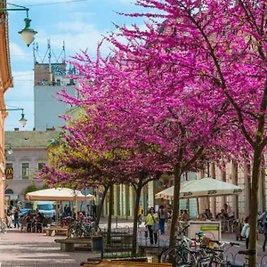 Downtown Dream Apartmans Szeged
